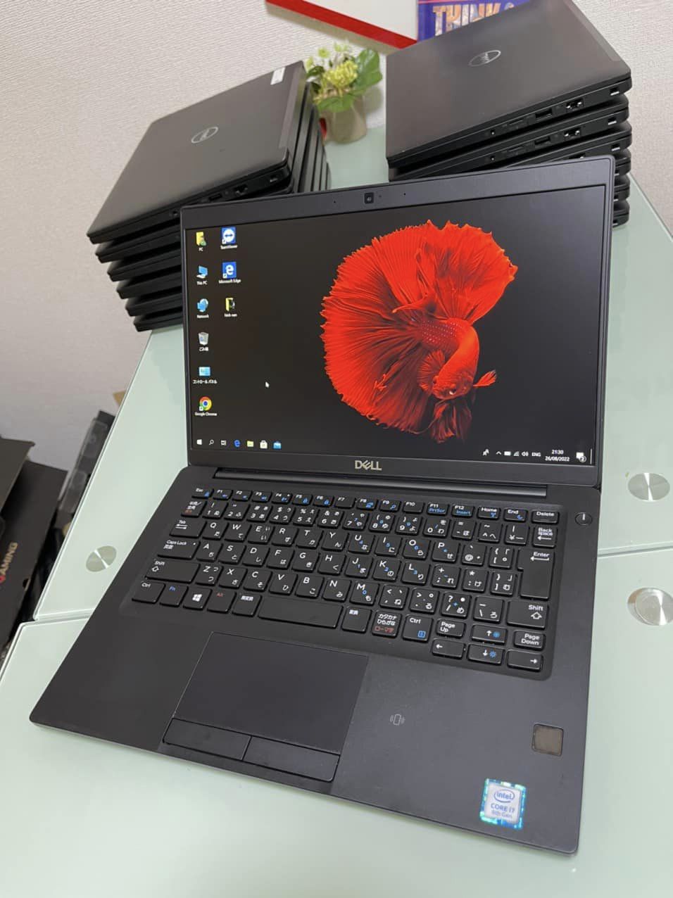 Dell Inspiron 5515 / AMD Ryzen 7 5700U (up to 4.3Ghz | 8